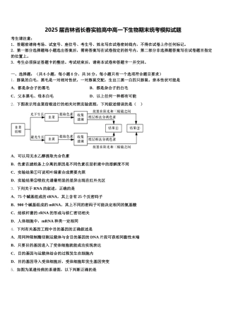 2025届吉林省长春实验高中高一下生物期末统考模拟试题含解析