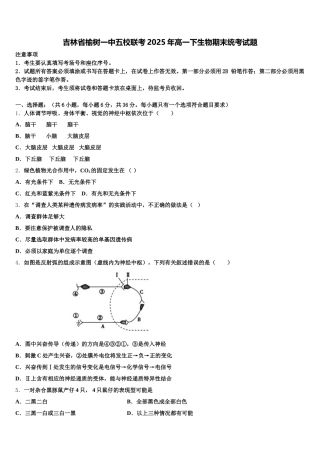 吉林省榆树一中五校联考2025年高一下生物期末统考试题含解析
