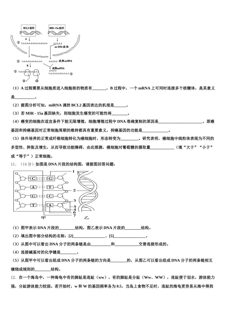 2025届吉林市四平市高一下生物期末学业质量监测试题含解析_第3页