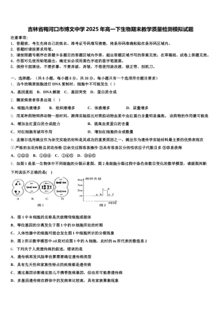 吉林省梅河口市博文中学2025年高一下生物期末教学质量检测模拟试题含解析