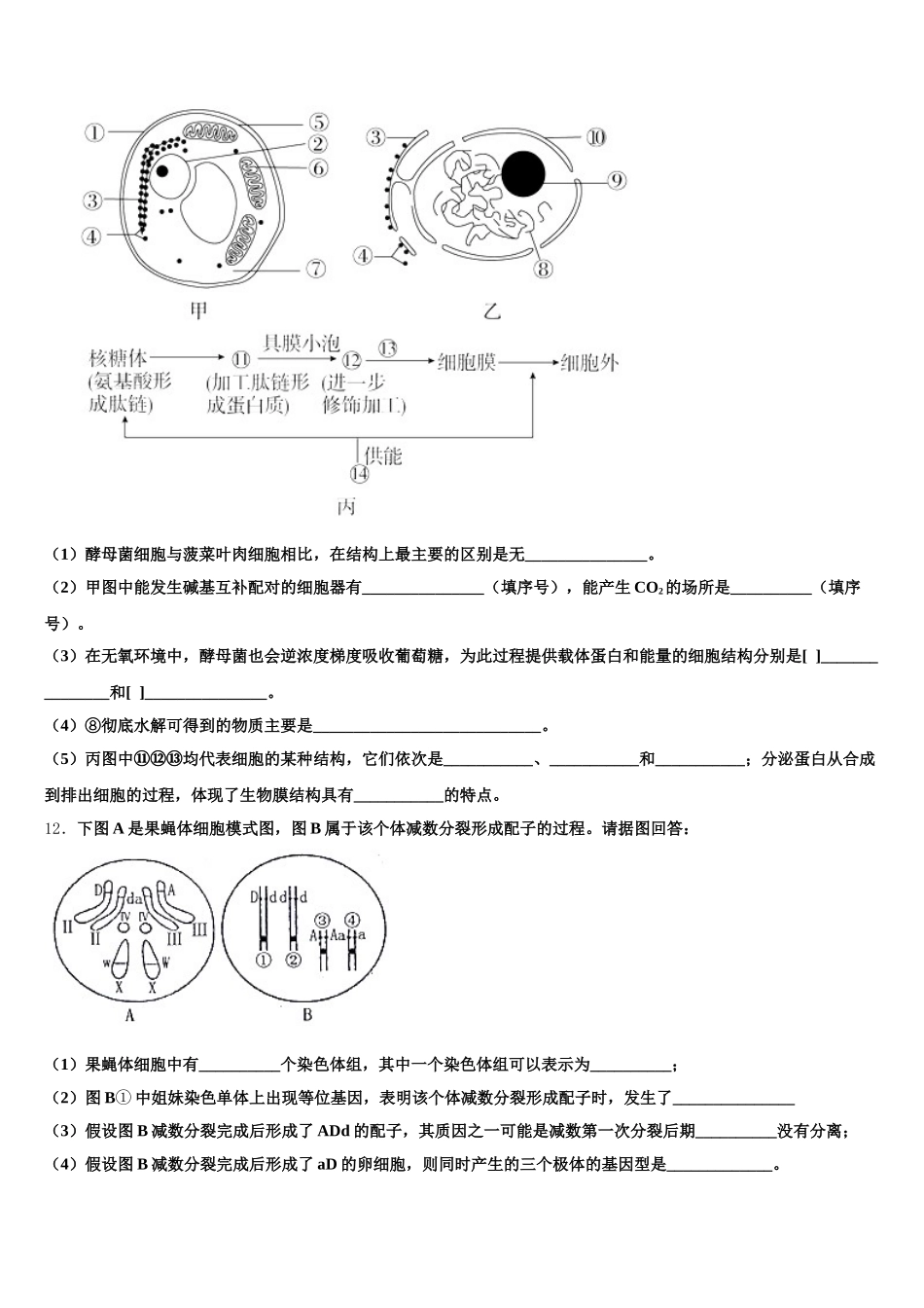 2025年吉林省松原市油田第十一中学生物高一第二学期期末经典模拟试题含解析_第3页