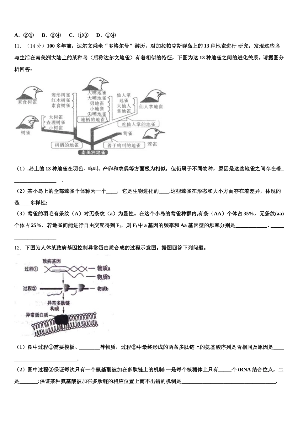 2025届吉林省白城市第四中学高一下生物期末经典模拟试题含解析_第3页