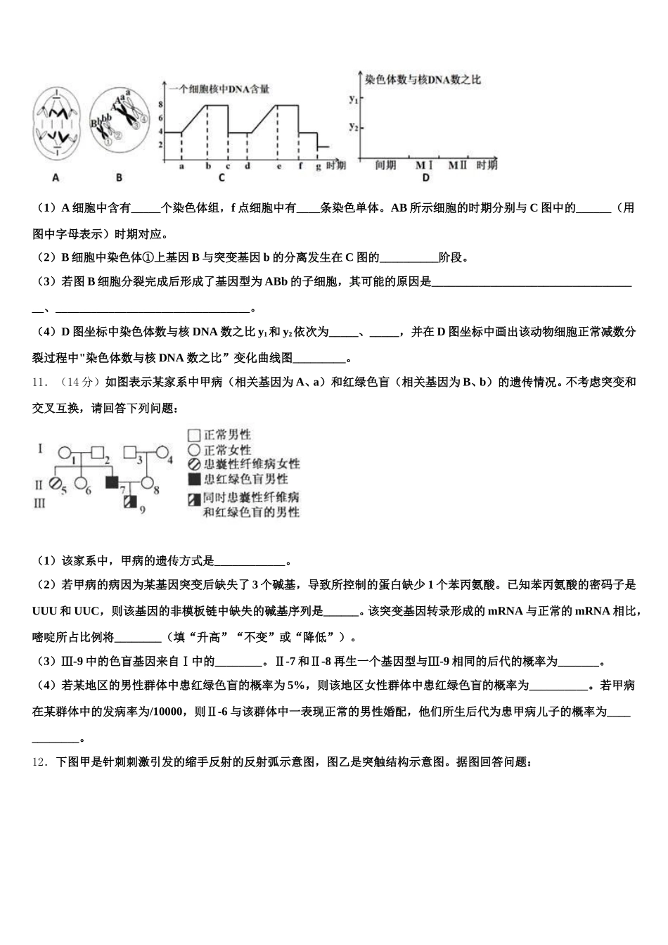 吉林省白山市长白县实验中学2025届生物高一下期末经典试题含解析_第3页