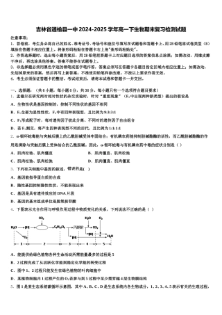 吉林省通榆县一中2024-2025学年高一下生物期末复习检测试题含解析