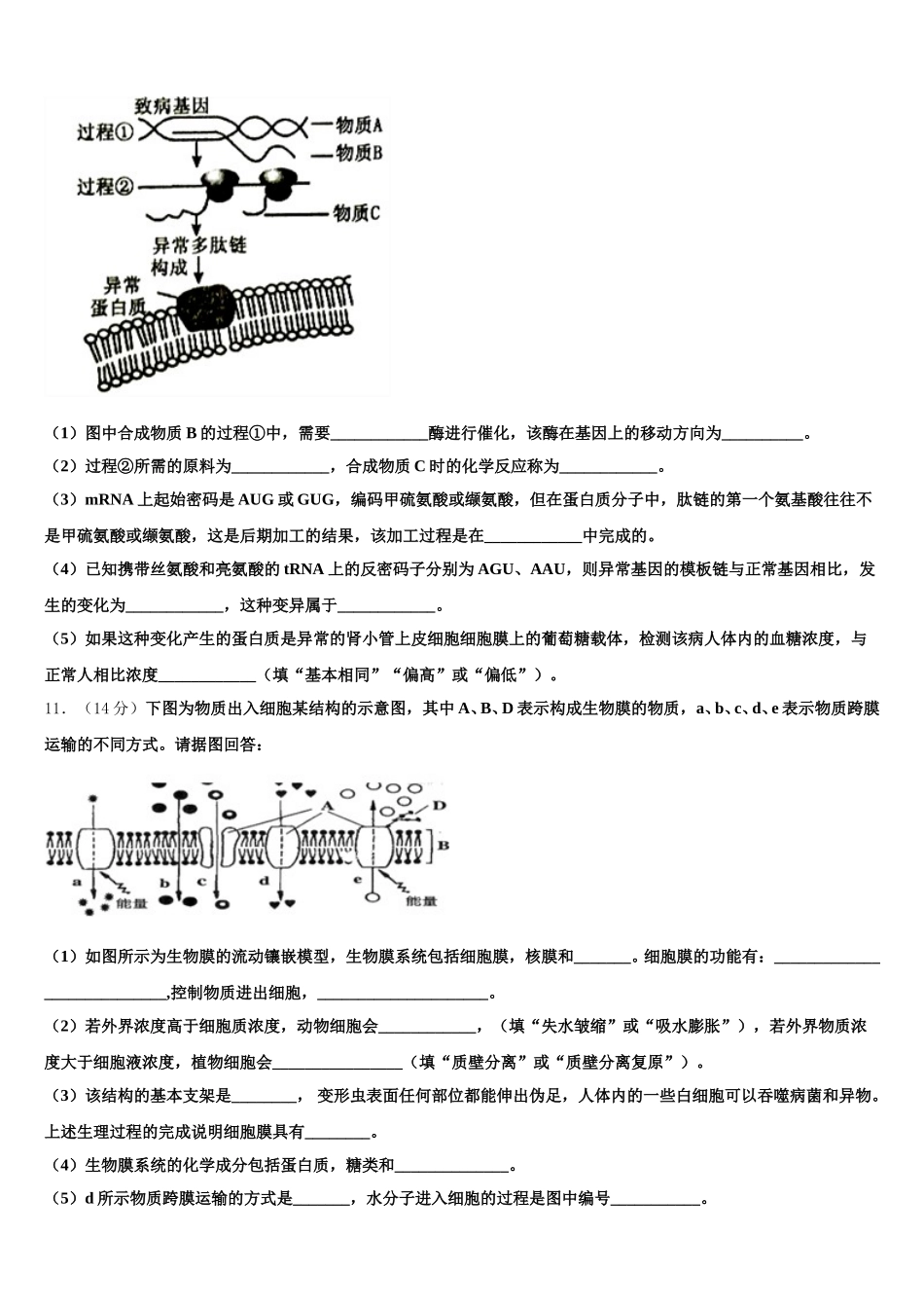 吉林省吉林市普通中学2025届生物高一下期末教学质量检测模拟试题含解析_第3页
