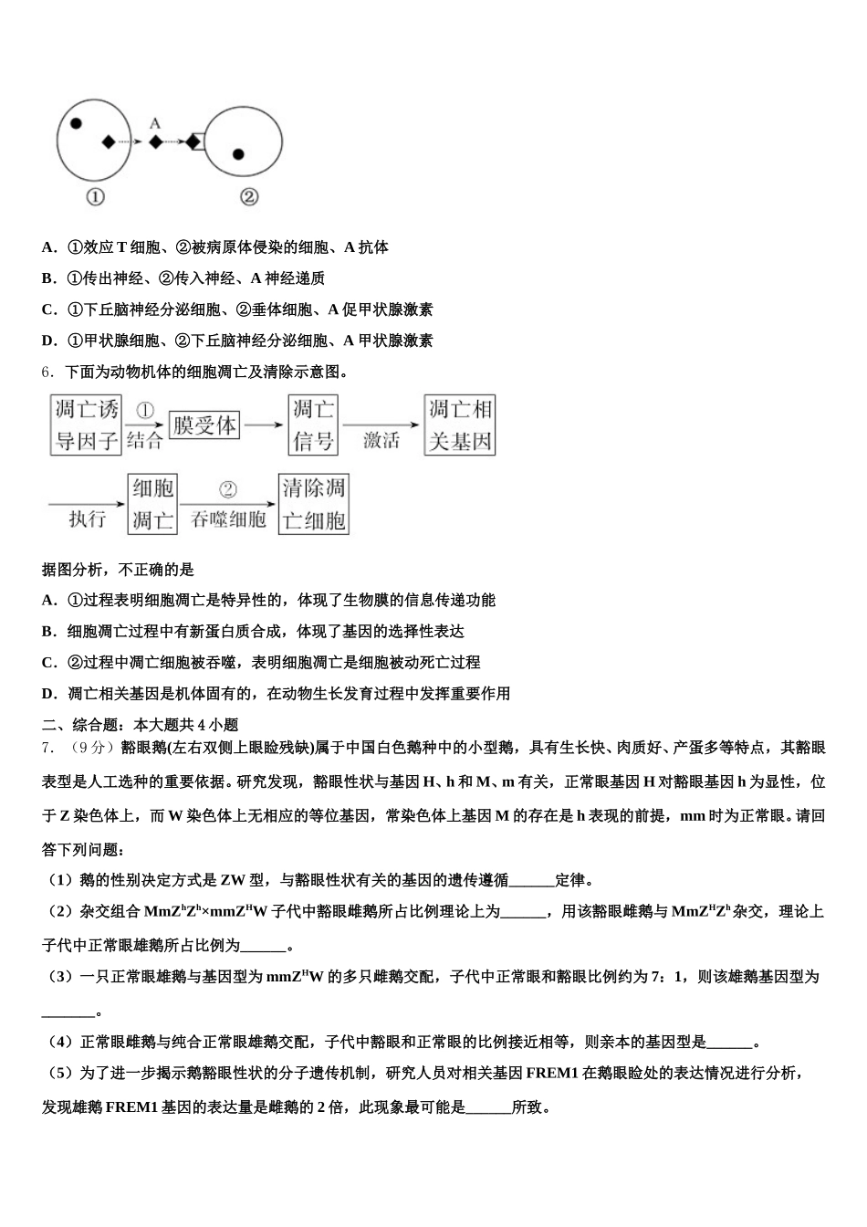 吉林省延边朝鲜族自治州汪清四中2024-2025学年生物高一下期末质量跟踪监视模拟试题含解析_第2页