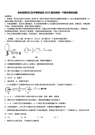 吉林省梅河口五中等联谊校2025届生物高一下期末调研试题含解析