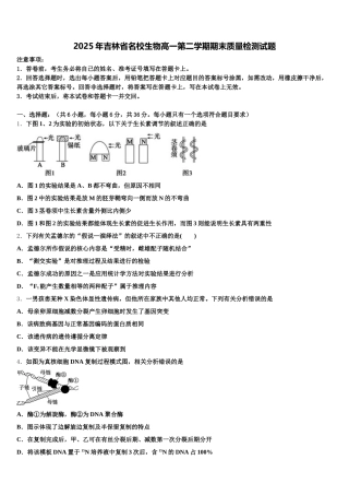 2025年吉林省名校生物高一第二学期期末质量检测试题含解析