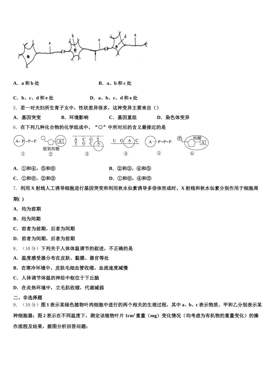 2025年吉林长春市普通高中生物高一第二学期期末学业质量监测试题含解析_第2页