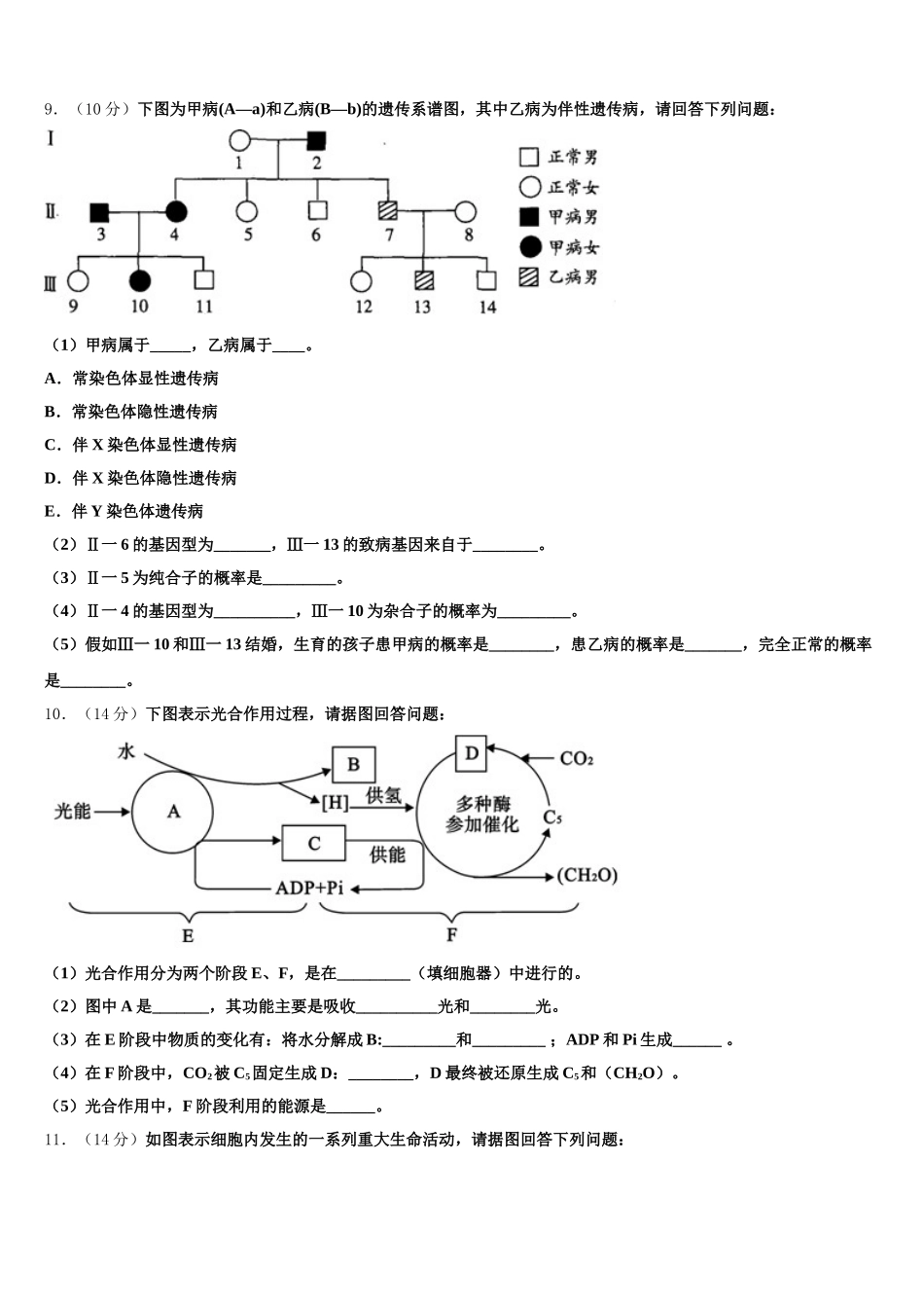 吉林省长春市第一五〇中学2025届生物高一下期末调研模拟试题含解析_第3页