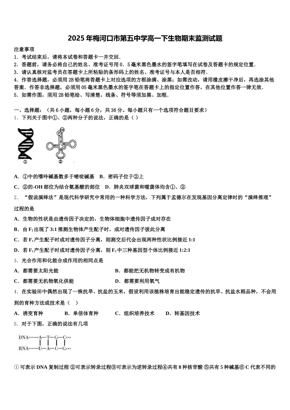 2025年梅河口市第五中学高一下生物期末监测试题含解析_第1页