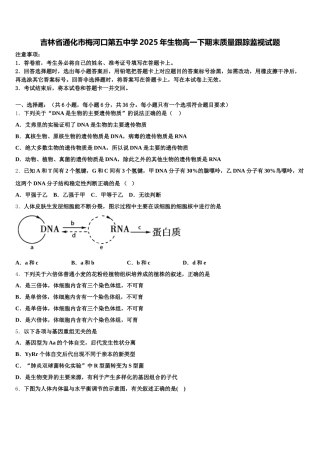 吉林省通化市梅河口第五中学2025年生物高一下期末质量跟踪监视试题含解析