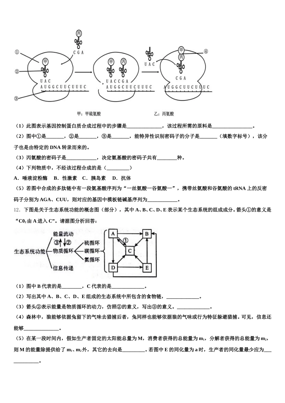 云南省昆明市西山区民中2025年高一下生物期末考试试题含解析_第3页