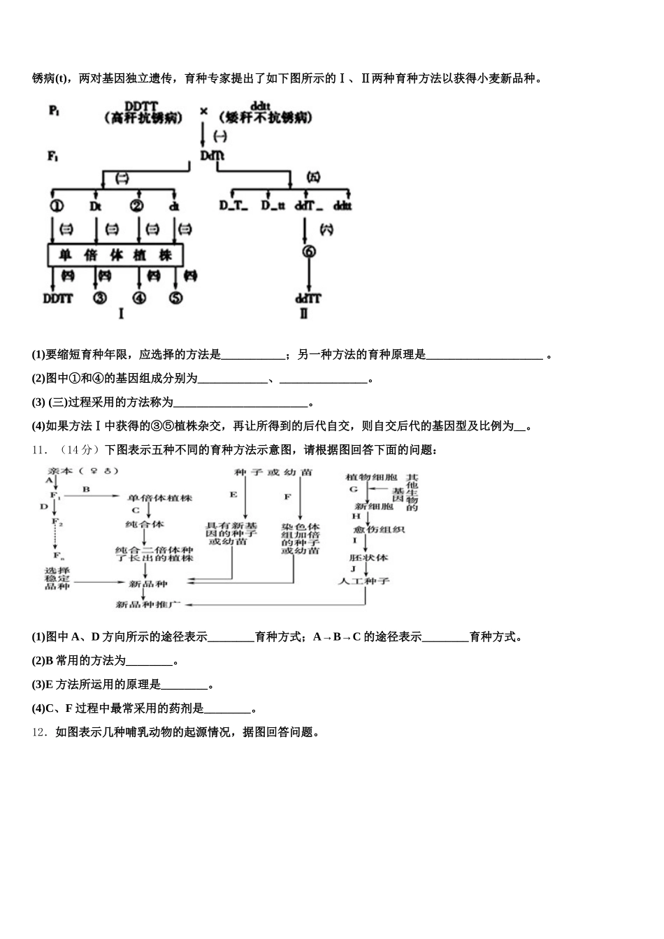 昆明市第一中学2025届高一下生物期末调研试题含解析_第3页