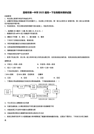 昆明市第一中学2025届高一下生物期末调研试题含解析