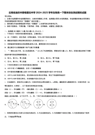 云南省迪庆州香格里拉中学2024-2025学年生物高一下期末综合测试模拟试题含解析