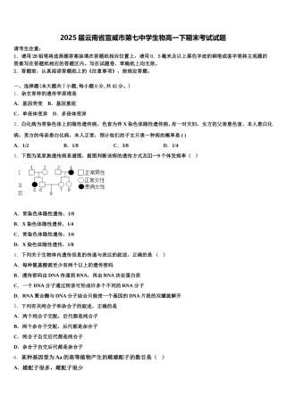 2025届云南省宣威市第七中学生物高一下期末考试试题含解析