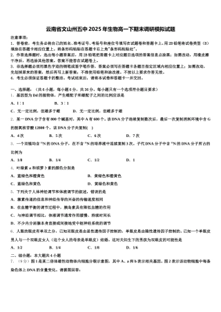 云南省文山州五中2025年生物高一下期末调研模拟试题含解析