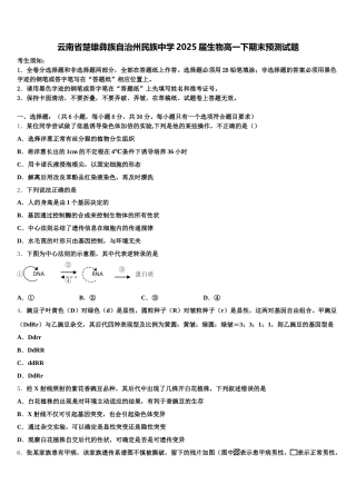 云南省楚雄彝族自治州民族中学2025届生物高一下期末预测试题含解析