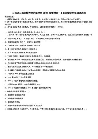 云南省云南民族大学附属中学2025届生物高一下期末学业水平测试试题含解析