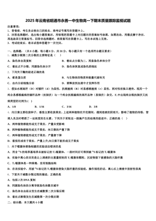 2025年云南省昭通市永善一中生物高一下期末质量跟踪监视试题含解析