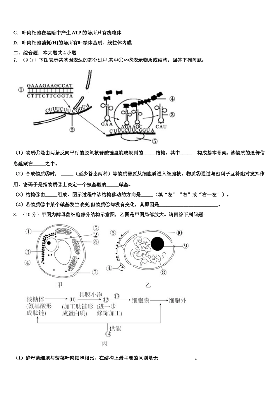 2024-2025学年云南省永平县第二中学生物高一下期末调研模拟试题含解析_第2页