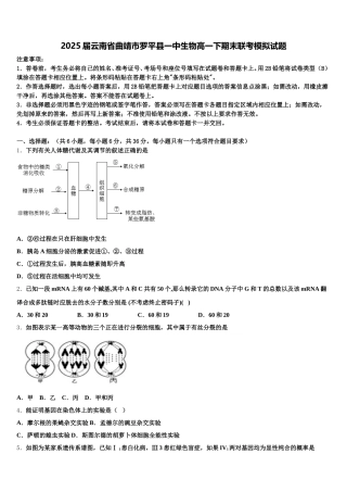 2025届云南省曲靖市罗平县一中生物高一下期末联考模拟试题含解析