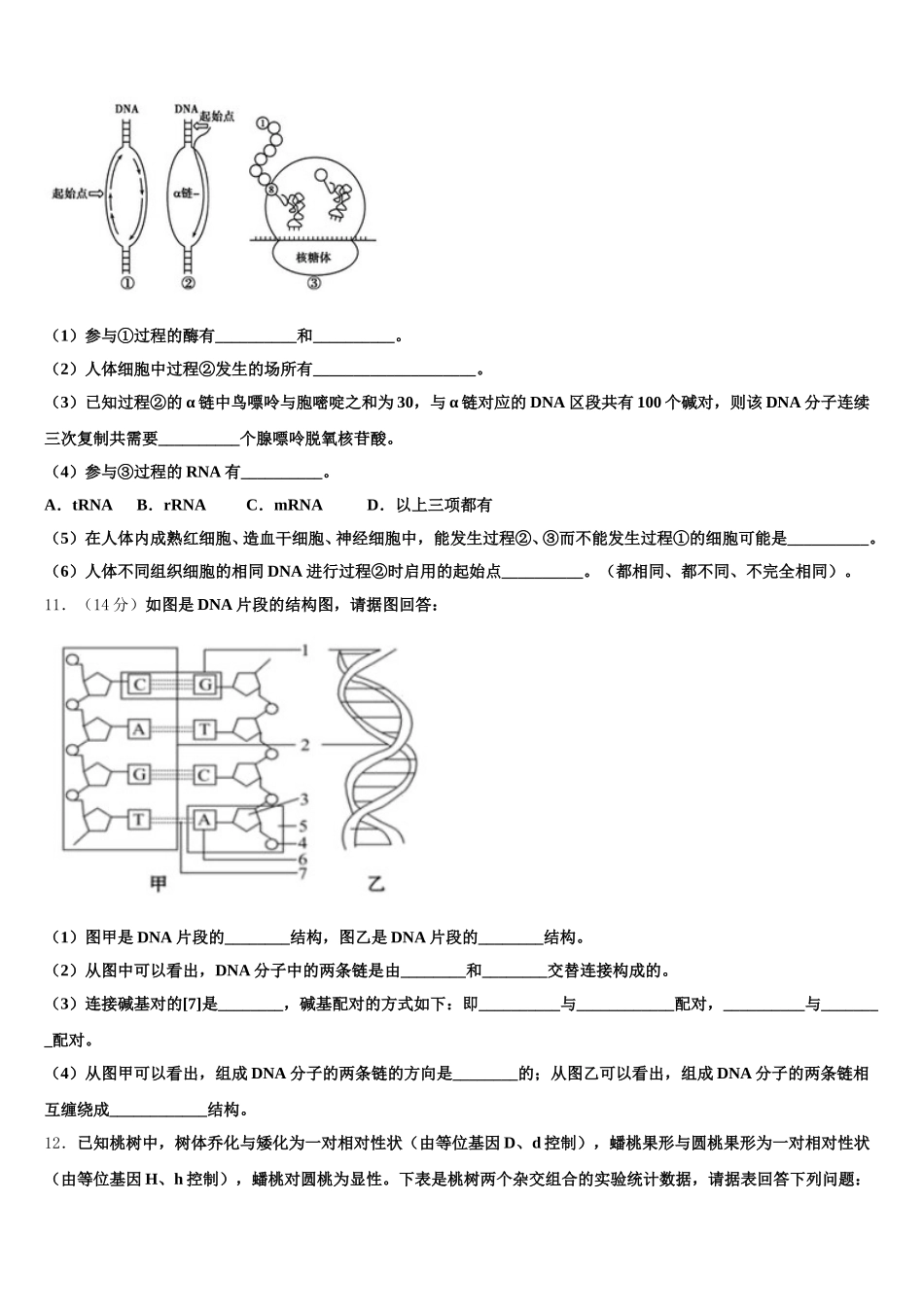 云南省大理州新世纪中学2025年生物高一下期末统考试题含解析_第3页