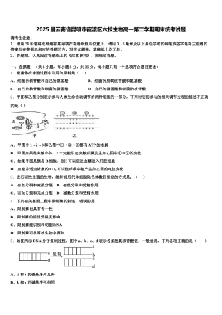 2025届云南省昆明市官渡区六校生物高一第二学期期末统考试题含解析