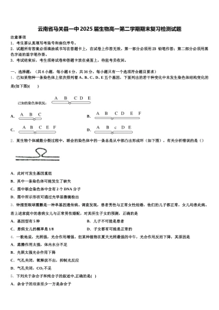 云南省马关县一中2025届生物高一第二学期期末复习检测试题含解析