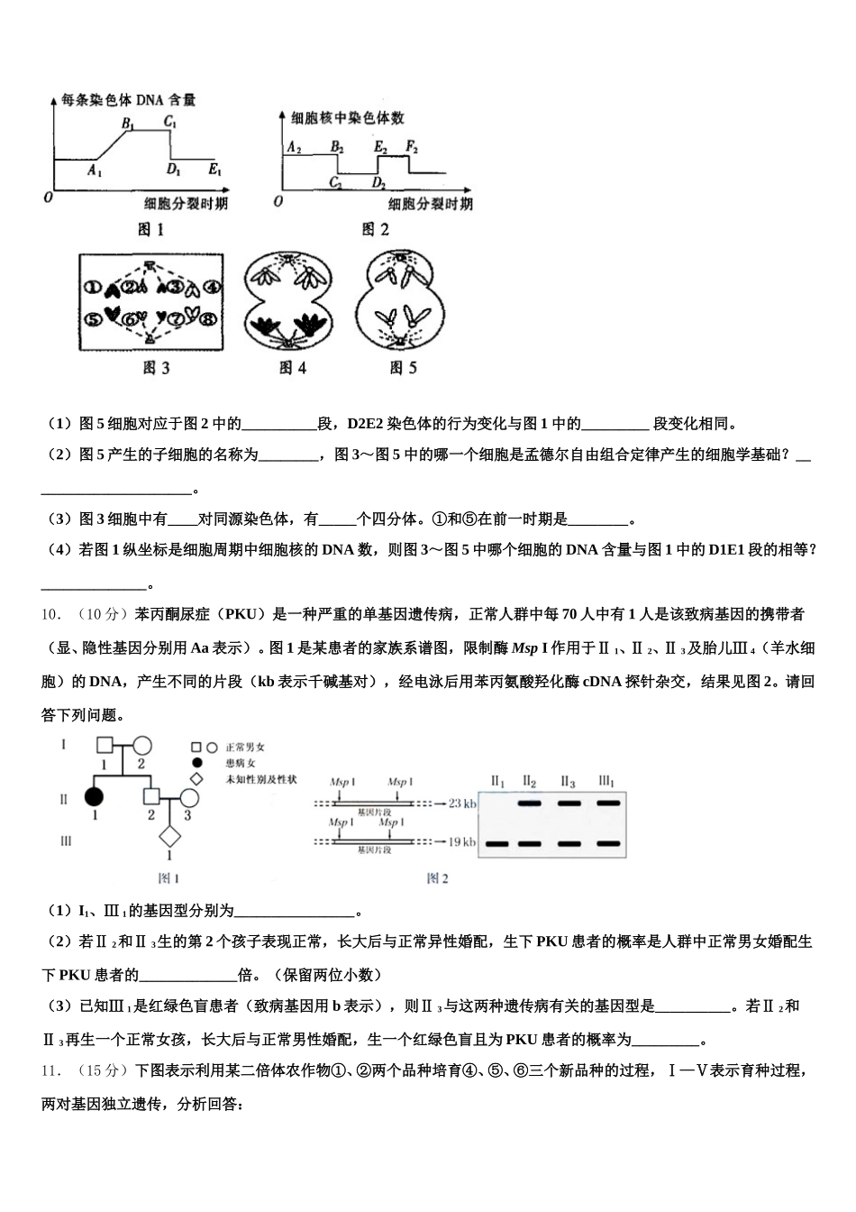 云南省景东县第二中学2025年生物高一下期末教学质量检测模拟试题含解析_第3页