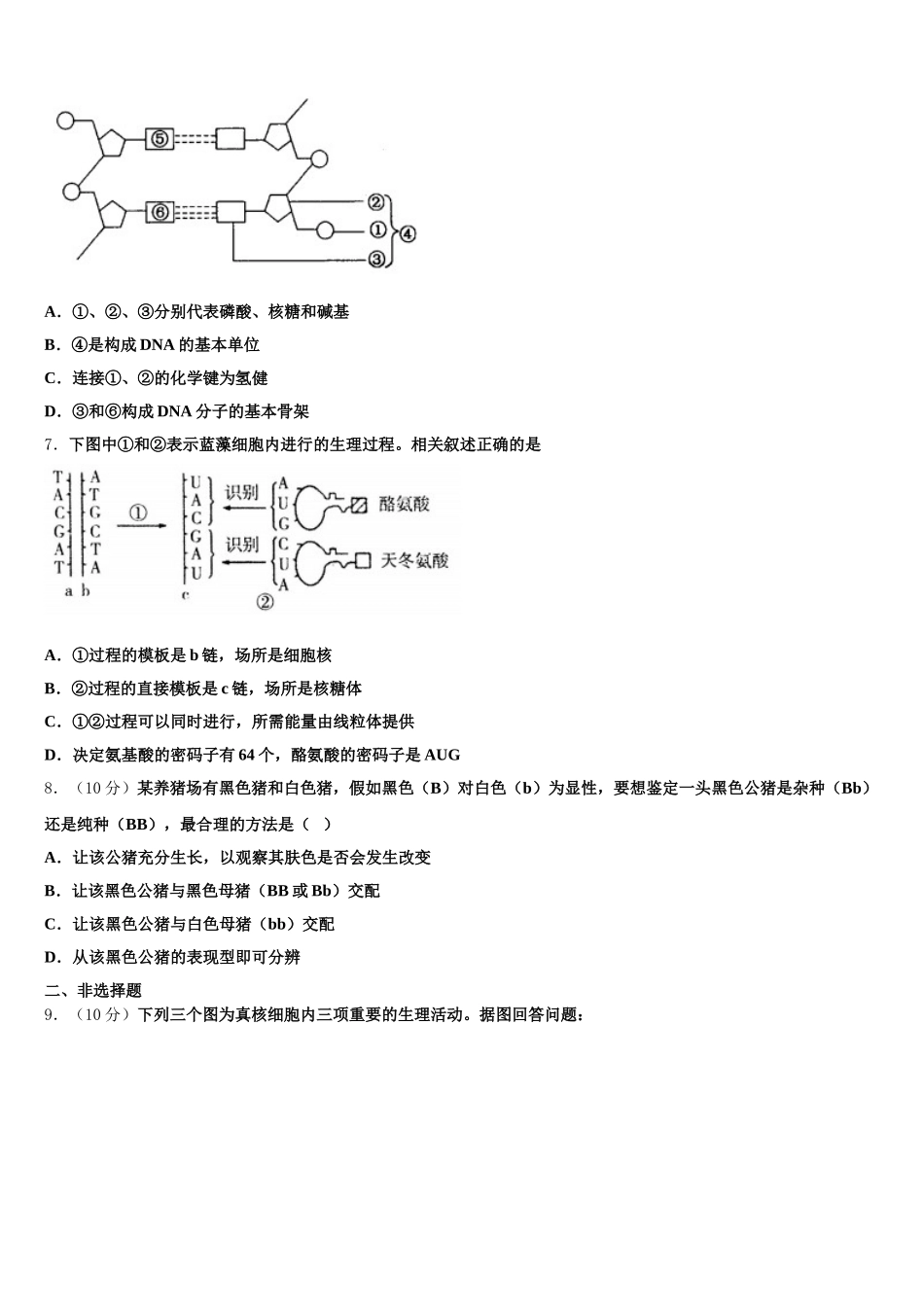 云南省玉溪市红塔区第一中学2025届生物高一下期末调研模拟试题含解析_第2页