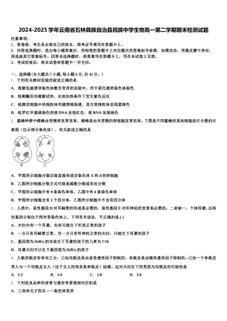 2024-2025学年云南省石林彝族自治县民族中学生物高一第二学期期末检测试题含解析