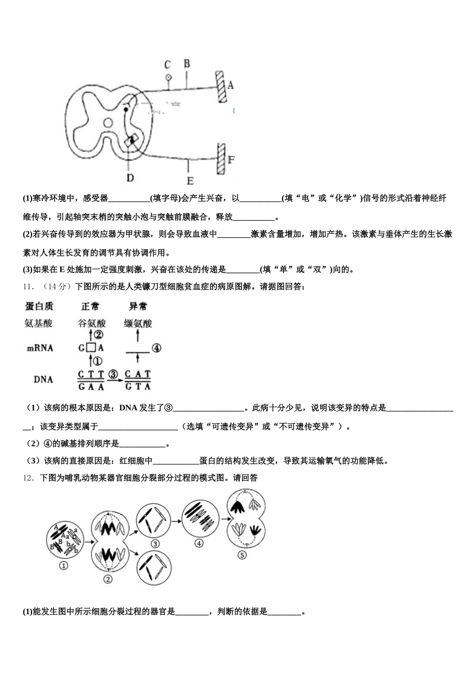 云南省绿春县一中2024-2025学年生物高一下期末监测模拟试题含解析_第3页
