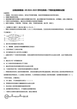 云南省绿春县一中2024-2025学年生物高一下期末监测模拟试题含解析