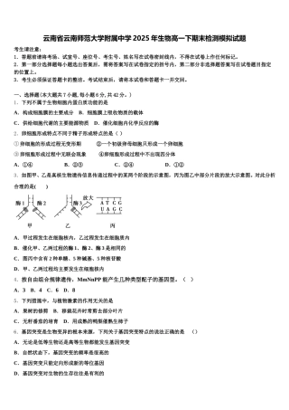 云南省云南师范大学附属中学2025年生物高一下期末检测模拟试题含解析