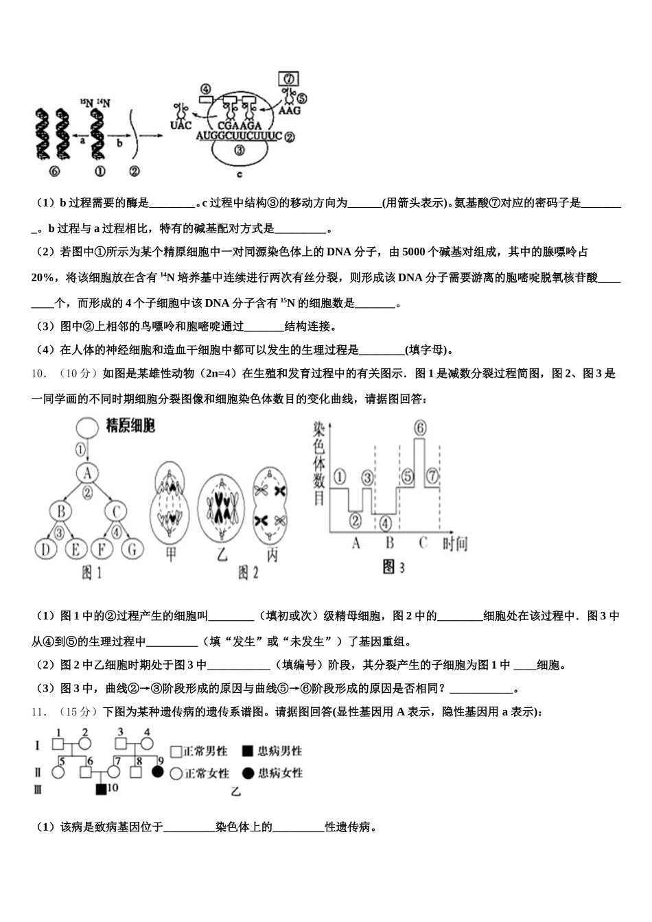 2024-2025学年云南衡水实验中学高一生物第二学期期末考试试题含解析_第3页