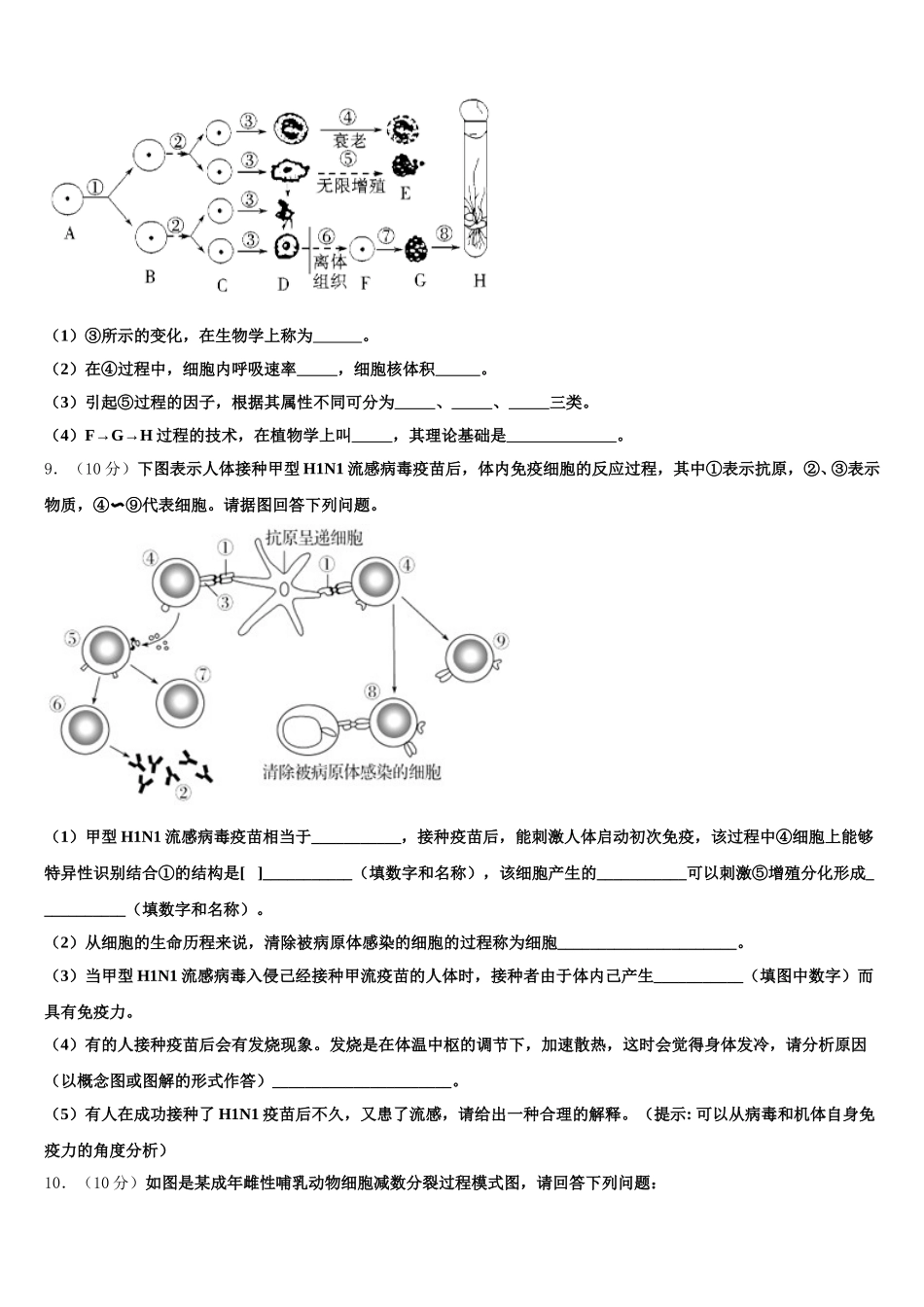 2025届临沧市第一中学生物高一下期末质量跟踪监视模拟试题含解析_第3页