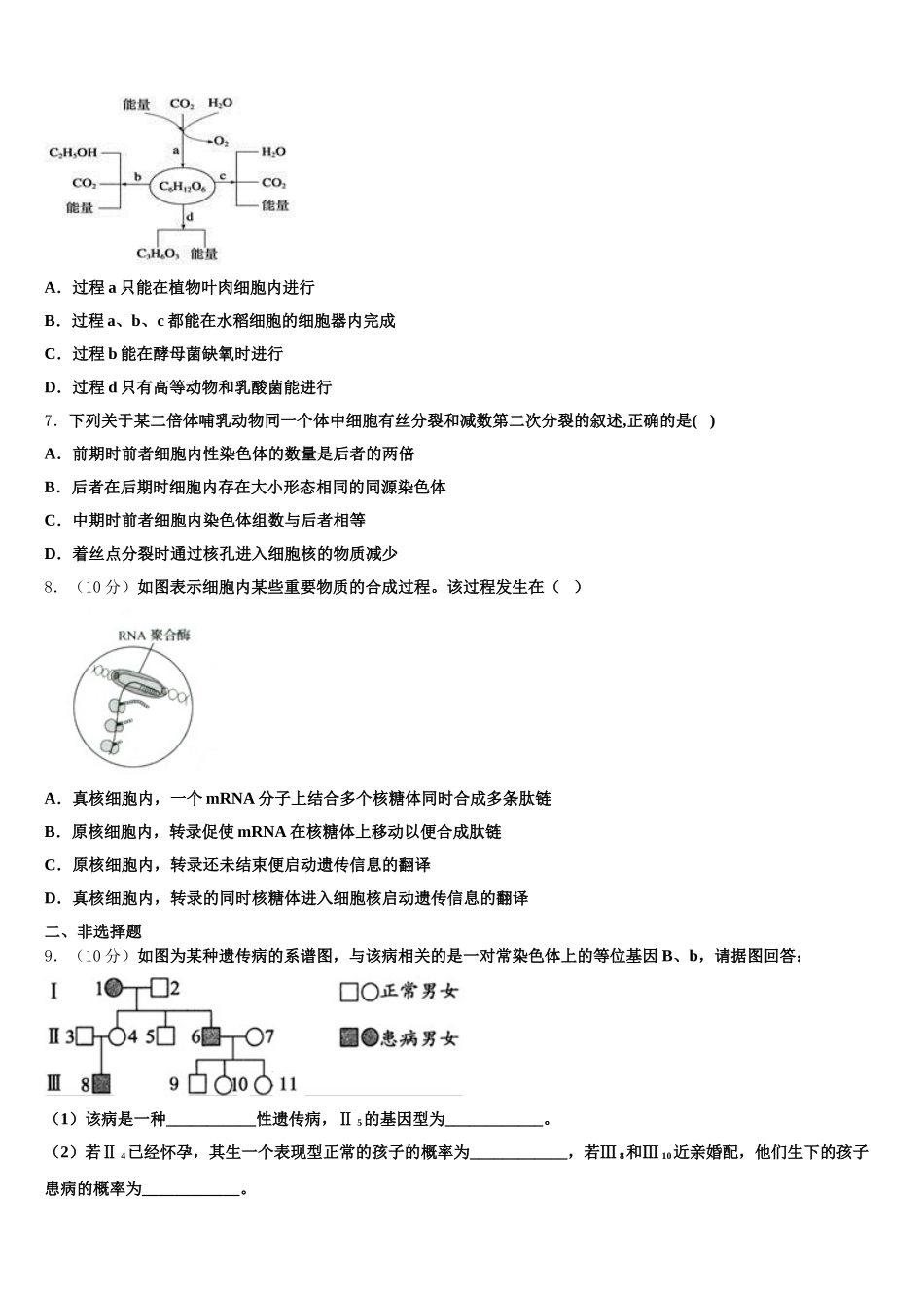 2024-2025学年玉溪市第一中学高一下生物期末统考模拟试题含解析_第2页