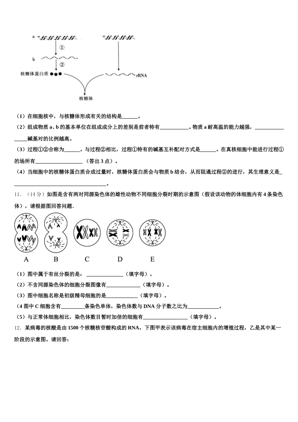 2025年云南省楚雄州南华县民中生物高一下期末达标检测模拟试题含解析_第3页
