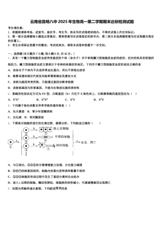 云南省昆明八中2025年生物高一第二学期期末达标检测试题含解析