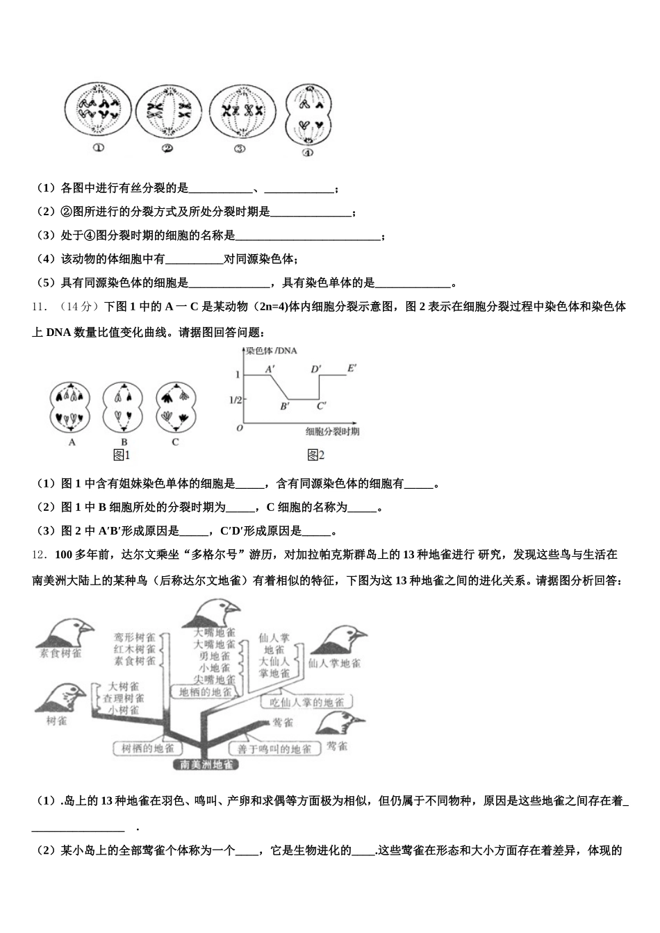 2025届云南省中央民族大学附属中学芒市国际学校高一生物第二学期期末质量跟踪监视模拟试题含解析_第3页