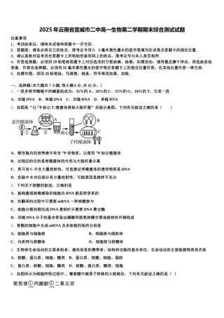 2025年云南省宣威市二中高一生物第二学期期末综合测试试题含解析