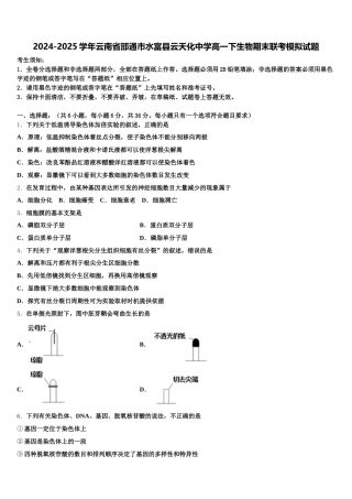 2024-2025学年云南省邵通市水富县云天化中学高一下生物期末联考模拟试题含解析