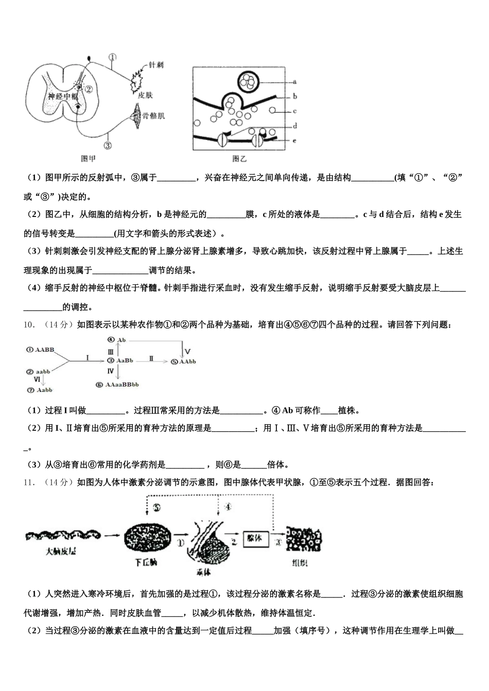 2025届云南省新平县一中高一下生物期末联考模拟试题含解析_第3页