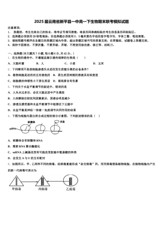 2025届云南省新平县一中高一下生物期末联考模拟试题含解析