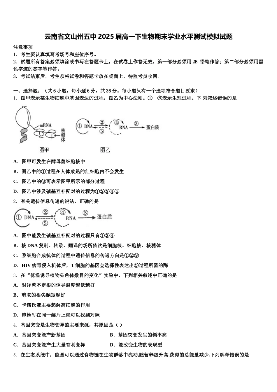 云南省文山州五中2025届高一下生物期末学业水平测试模拟试题含解析_第1页
