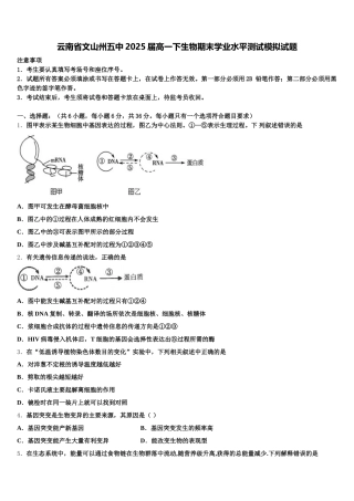 云南省文山州五中2025届高一下生物期末学业水平测试模拟试题含解析