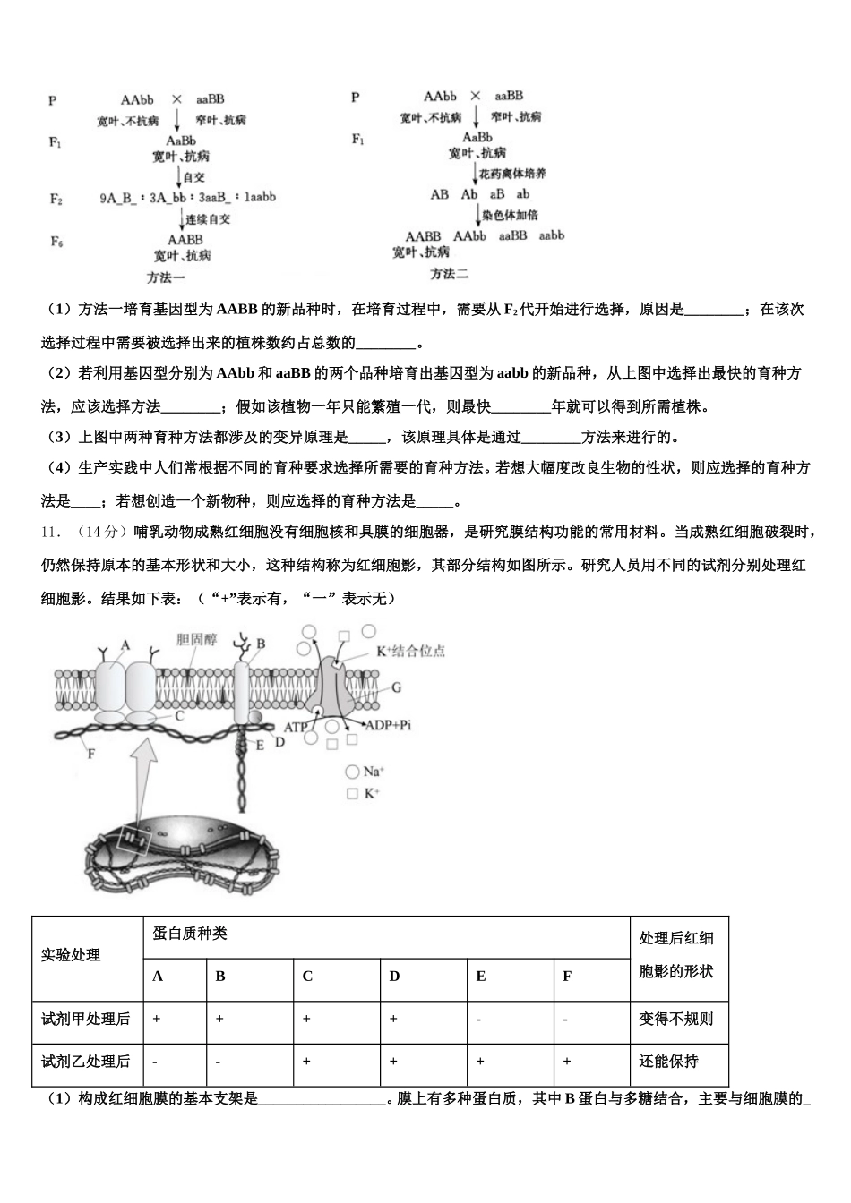 云南省梁河县第一中学2024-2025学年生物高一下期末学业质量监测模拟试题含解析_第3页