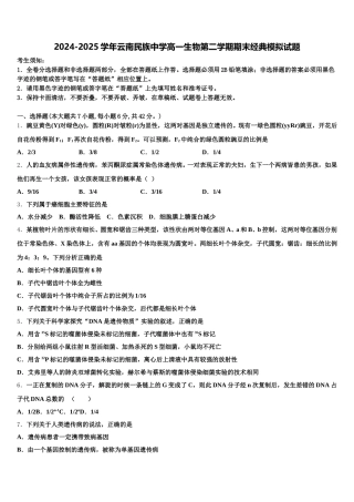 2024-2025学年云南民族中学高一生物第二学期期末经典模拟试题含解析